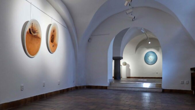 Foto: trebic.news Foto: trebic.news